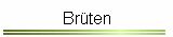 Brüten