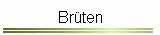 Brten